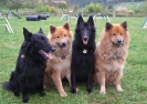 Gruppenbilder