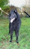 Alf bei seiner Familie