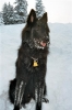 Ascha bei Ihrer Familie