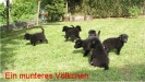 Kinderstube